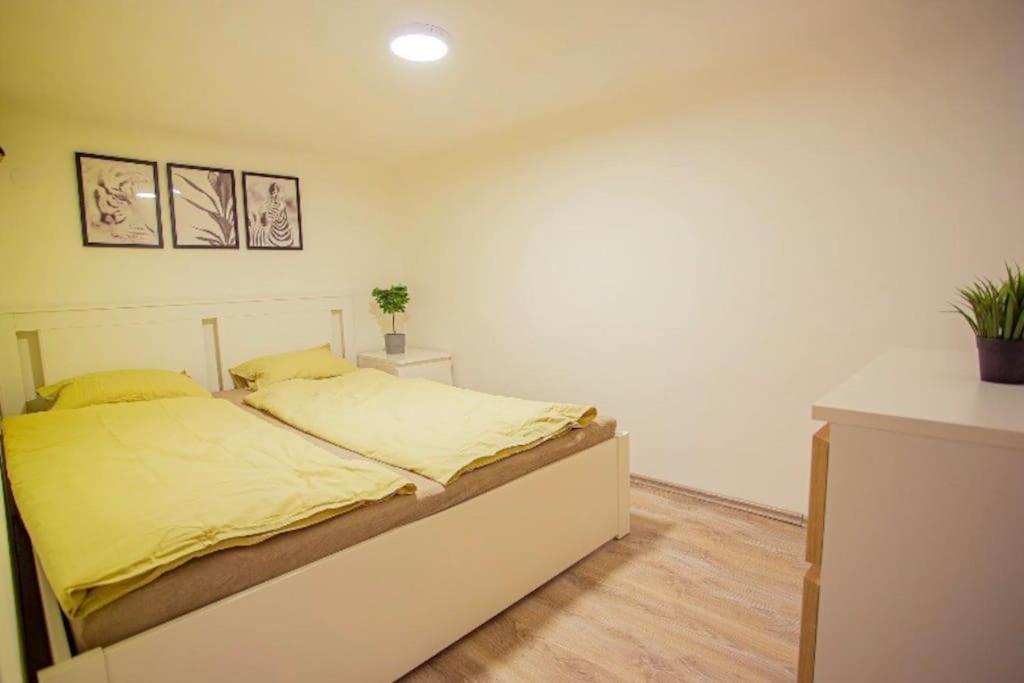 Cosy 2 Bedroom Flat In Akacfa St., Sol Budapest Exterior photo